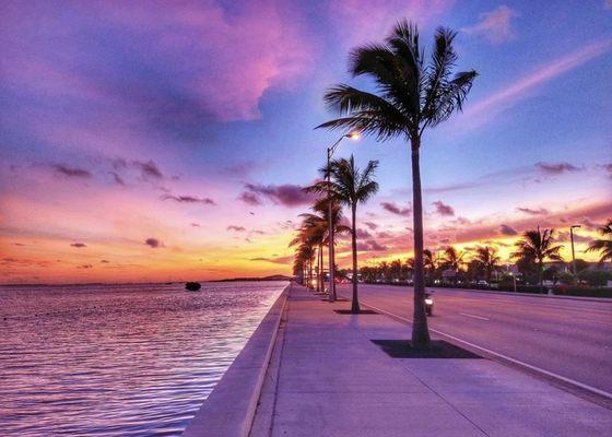 Florida shoreline