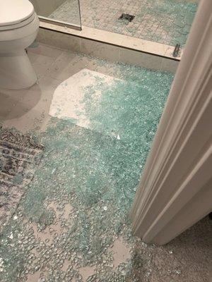 Shower door