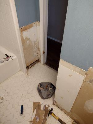 Bathroom tear down.