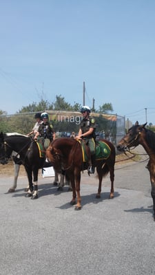 Mounted police