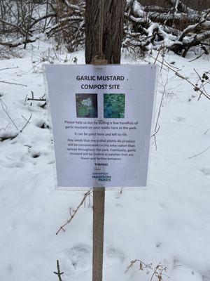 Sign asking for you to pick the garlic mustard and dispose here