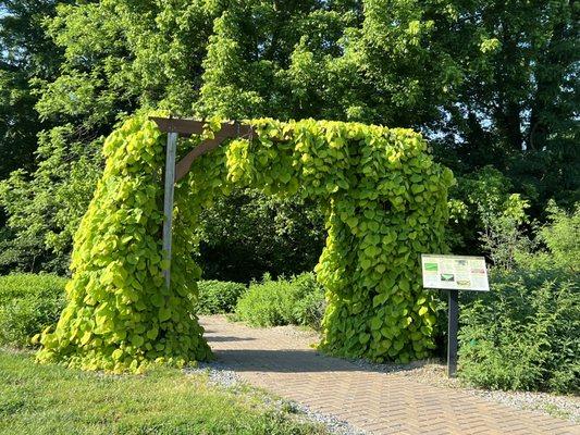 Friends of Boone County Arboretum