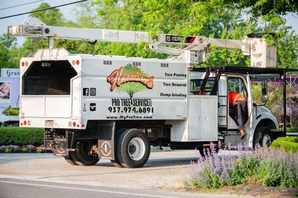 Harrison's Pro Tree Service Inc