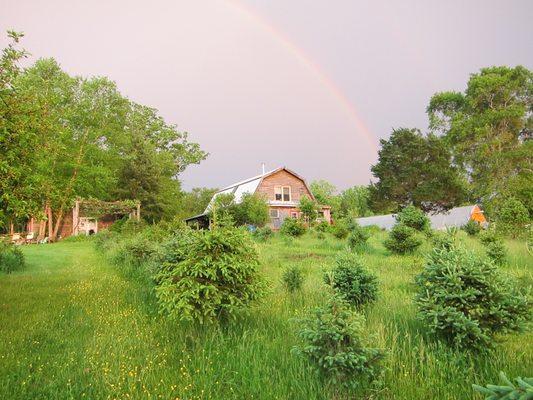 The end of a June storm