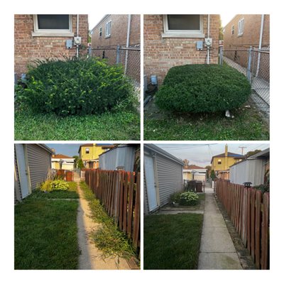 Hedge Trimming/Weed Removal