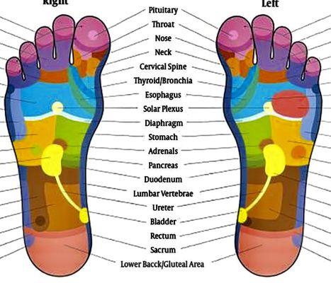 Reflexology chart