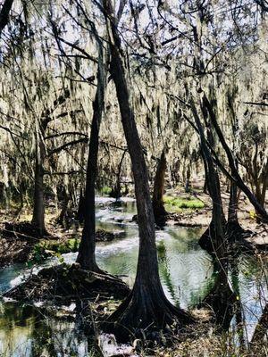 The river, so quiet and peaceful for morning walks.