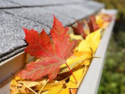 Gutter Cleaning Chattanooga