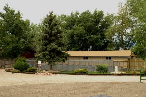 Rover's Ranch Kennels