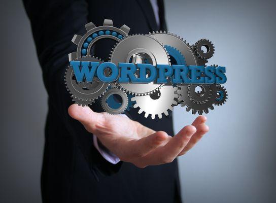 WordPress Web Hosting Service in Philadelphia and Web Domains Names