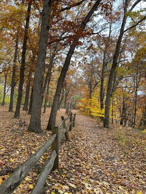 Trail above ledge and next to River