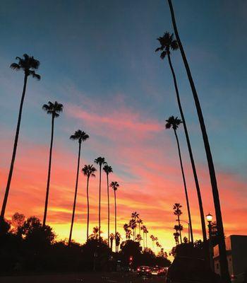 Beautiful So. California sunset, right outside our studio!