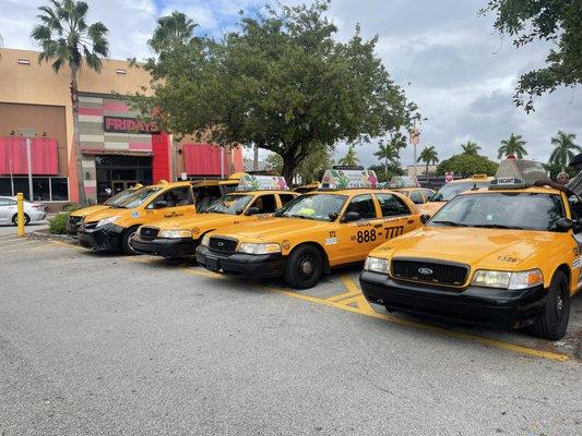 Our fleet of taxis waiting for you, just at main entrance of dolphin mall.