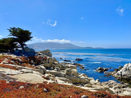 17 mile drive