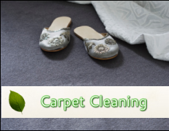 Carpet cleaning services.