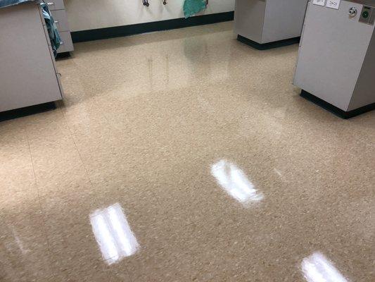 Refinished floors at Acorn Veterinary Clinic.