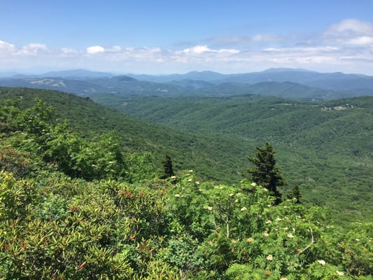 The view from Pinnacle: 5300'