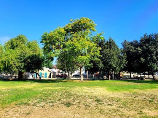 Open Field (07/04/21). @JoaquinMillerPark #Burbank #Park #PetFriendly #FamilyFun #OptOutside