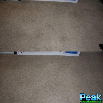 Residential carpet cleaning in Gilbert, AZ.