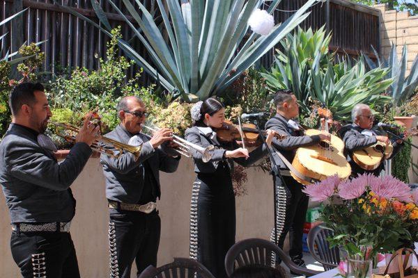 Mariachi Promesa De Mexico