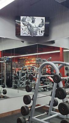 TV monitors in the right places to keep you entertained; one corner TV dedicated to showing workouts of real bodybuilders.