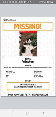 Please help our family find our Winston!