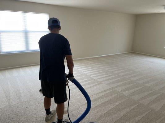 Steam cleaning carpets