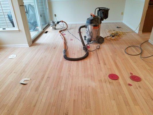 Red oak sanding in progress