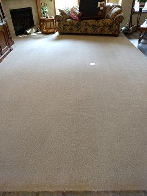 Beautifully cleaned white living room carpet!