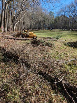 M & M Stump Grinding