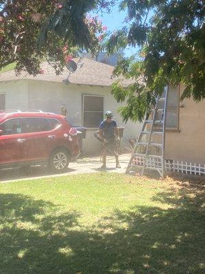 Gavin tolbert's tree service