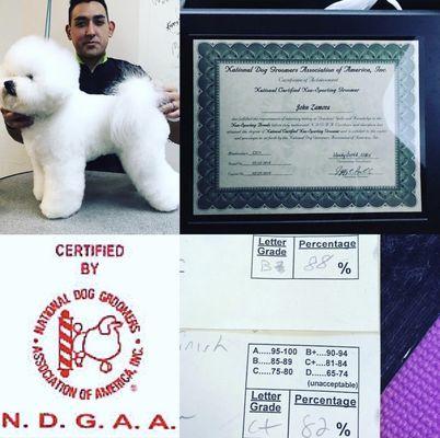 John is a National Certificated Dog Groomer-Non-Sporting.