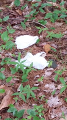 Dirty towels all over our campsite