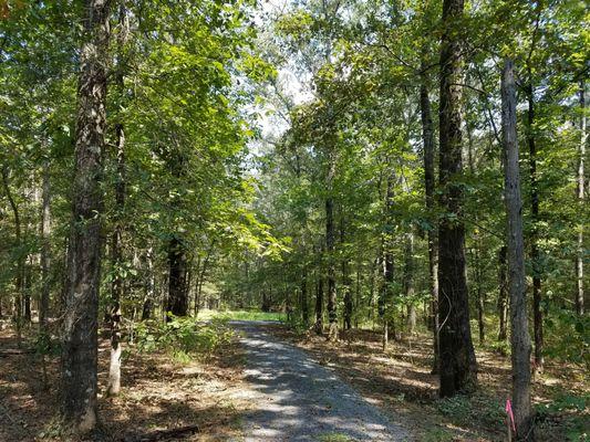 Bluebird Lane  3.25 acres with driveway....perfect new home site in Ridgeland, MS 39157