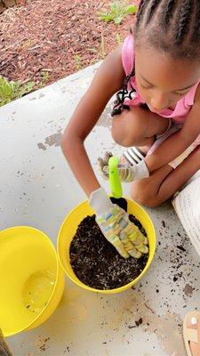 summer gardening