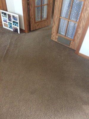 This was a carpet that hadn't been cleaned in a while