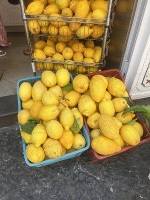 Fresh Lemons