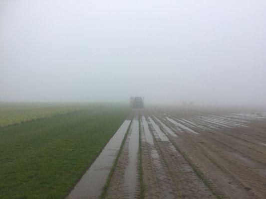 Sod harvester in the fog