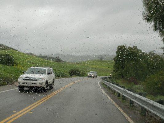 Winter rains have greened the hillsides.