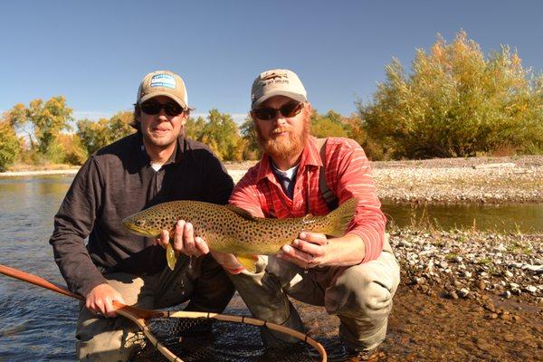 Henry's Fork Brown Trout