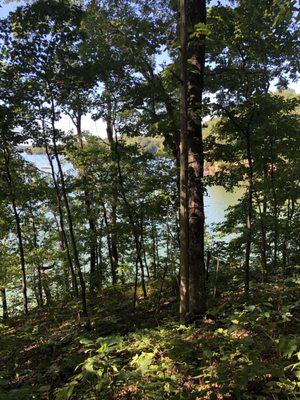 There are a couple of trails at the back of the campground that can go down toward the lake and meet up with a hiking trail.