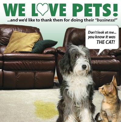 Pet odor removal is a specialty of ours!