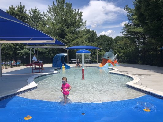 Toddler pool, with 2 slides!