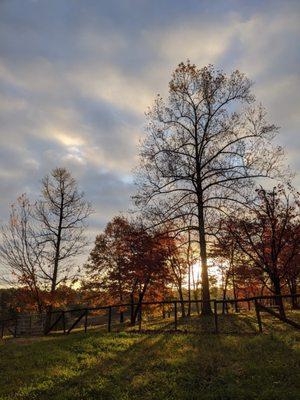 gorgeous sunrise taken by an airbnb guest!