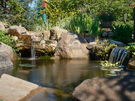 Natural Swimming Pond Pool