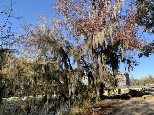 11.27.20; Augusta Canal Headgates & Locks - Augusta GA