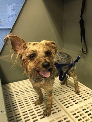 Cutie pie bath time