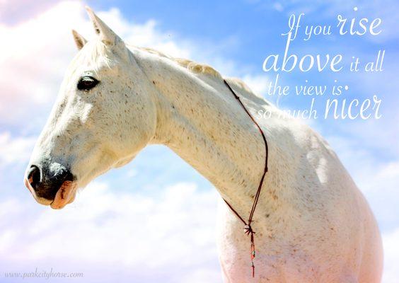 Get Outside, Connect to Your Breath and let Your Heart be Inspired by a Horse