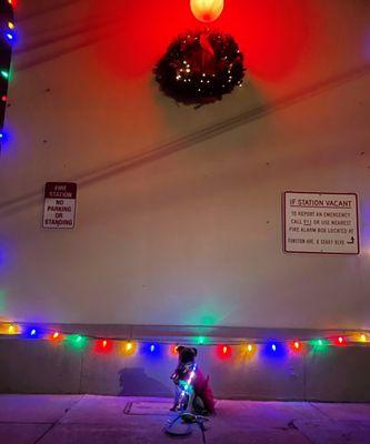 Holiday lights at Fire Station 31