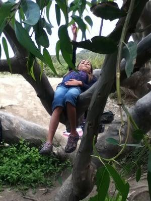 Our campers have time to dream in the branches of a magnificent tree.